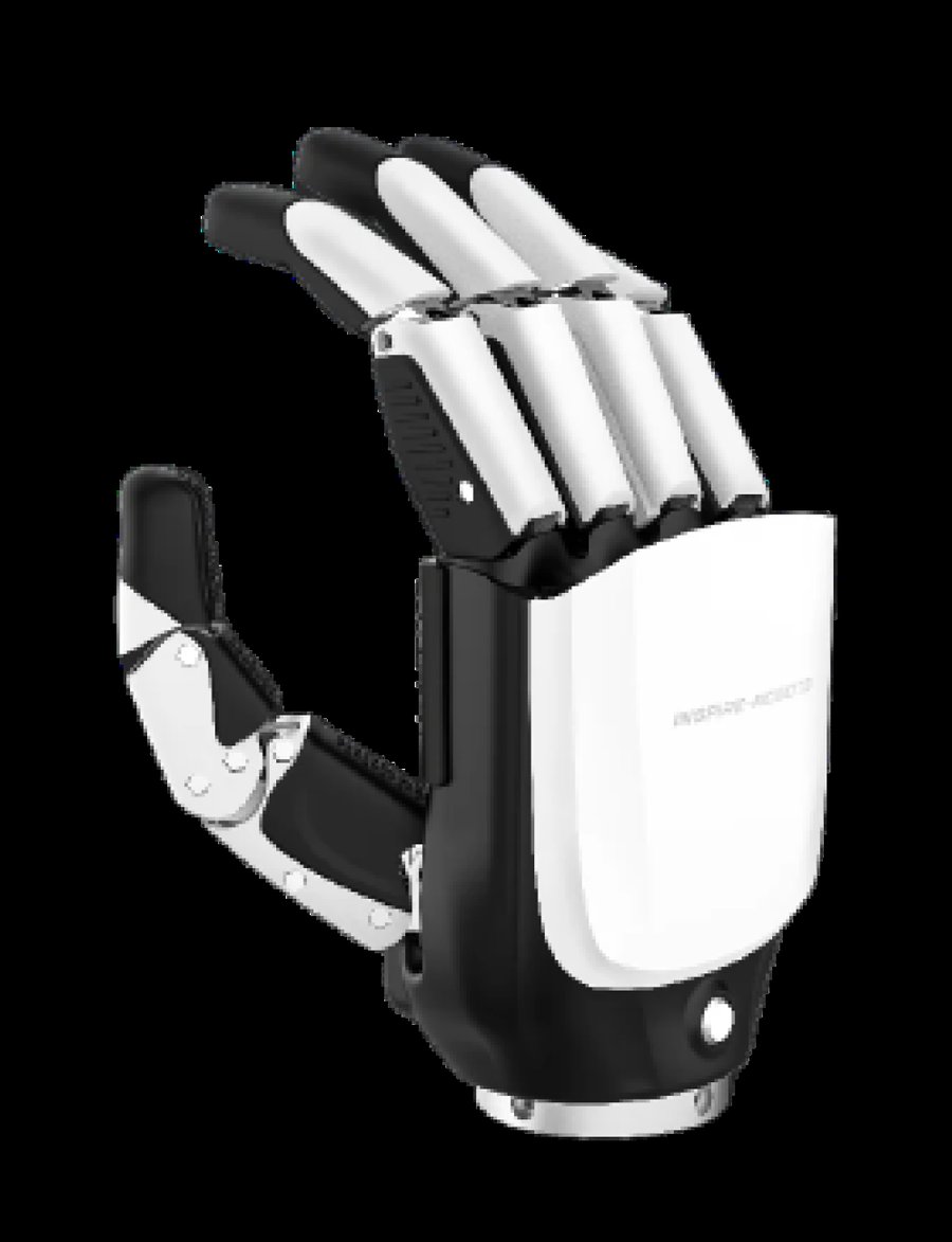 Inspire Dexterous Hands